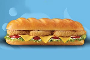 Chicken Panne Sandwich