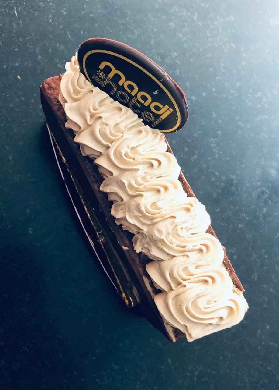 Piece of Chocolate Gateau