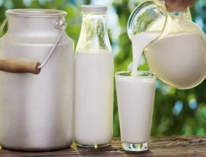 لبن حليب جاموسي 1 ك