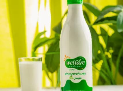 لبن جاموسي مبستر 1 لتر