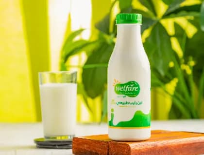 لبن رايب 500 مللي