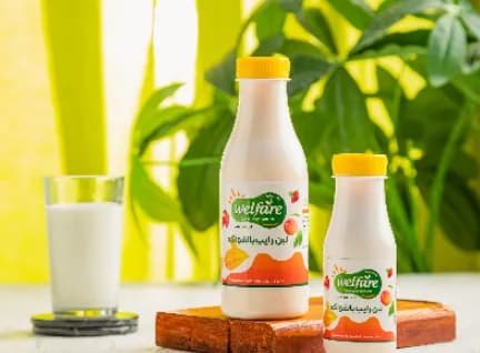 لبن رايب فواكه 250 مللي