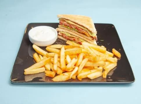 سلمون مدخن توست