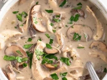 شوربة دجاج و مشروم بالكريمة