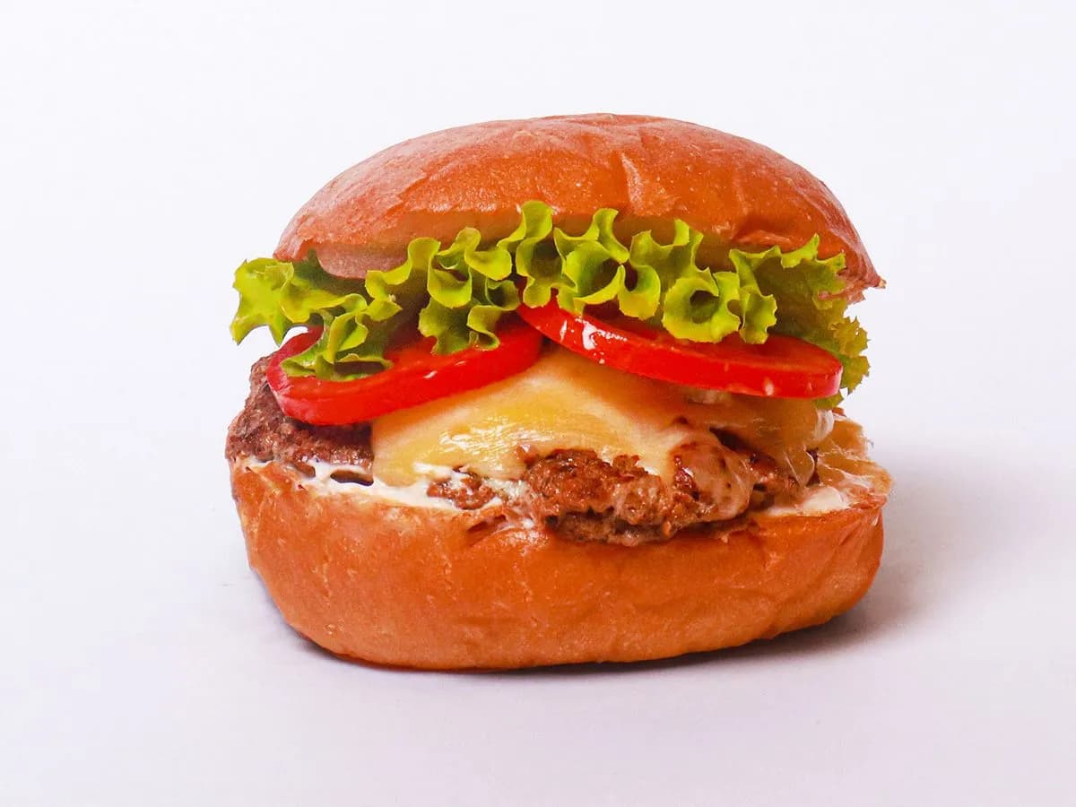 Cheesy Cheese Sandwich