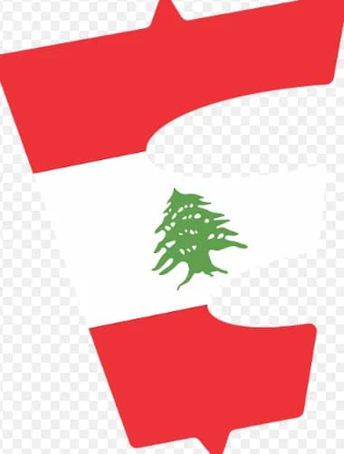 Lebanese Chicken Meal