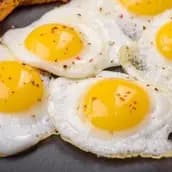 قرص عين كتكوت