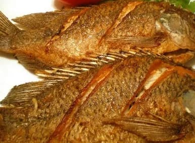 500 Grams of Bolty Fish