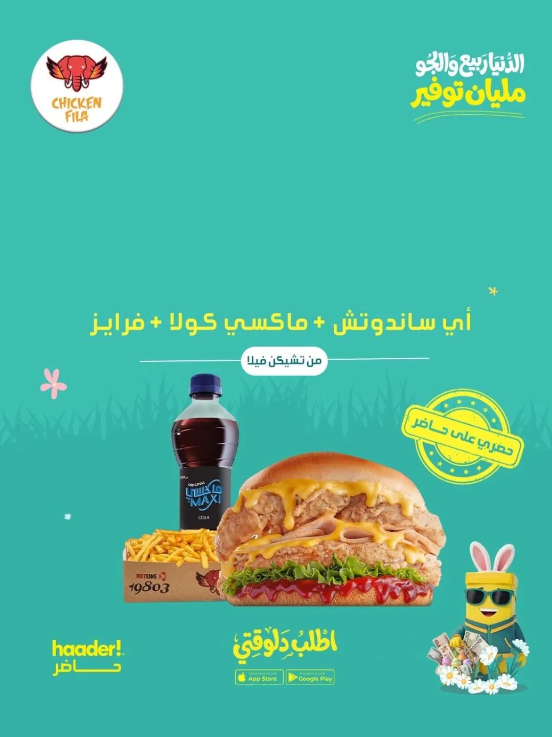 عرض تشكن فيلا