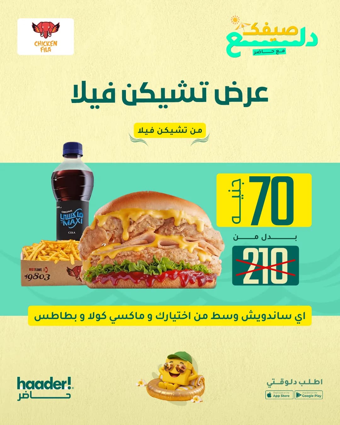 عرض تشكن فيلا