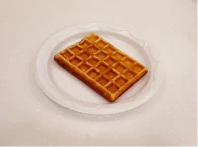 وافل سادة كبير