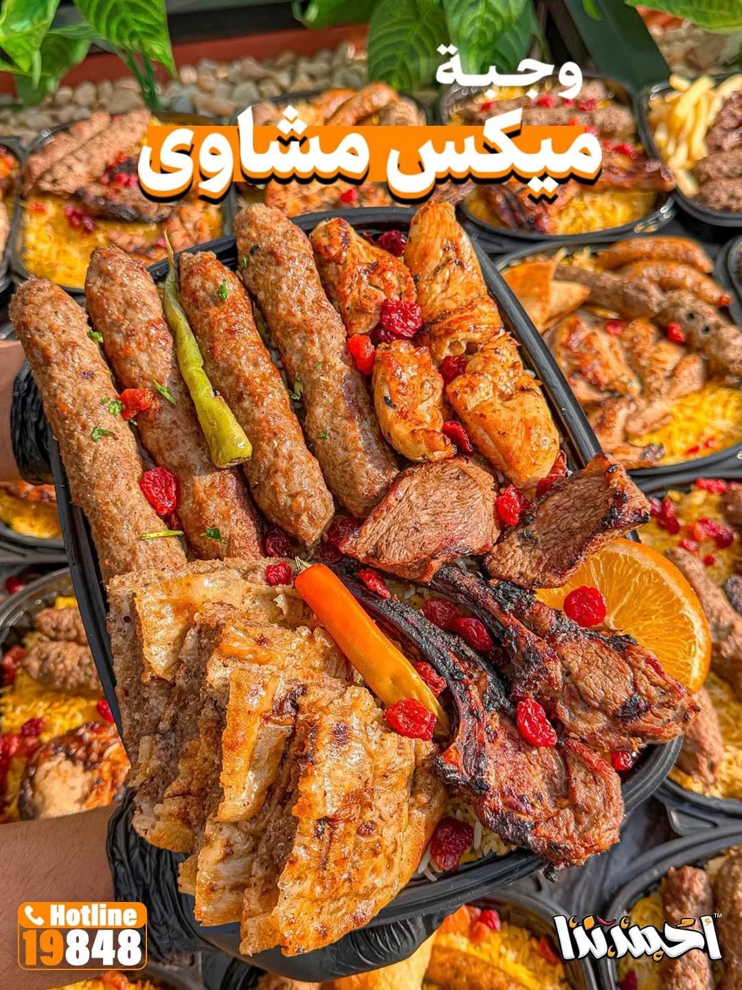 Grilled Mix Meal
