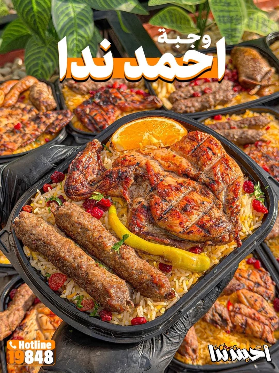 Ahmed Nada Meal