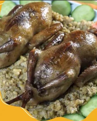 Stuffed Pigeon Freek