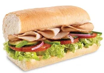 صدر ديك رومي