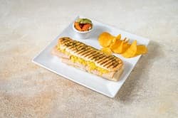 بانيني ديك رومي وجبنة