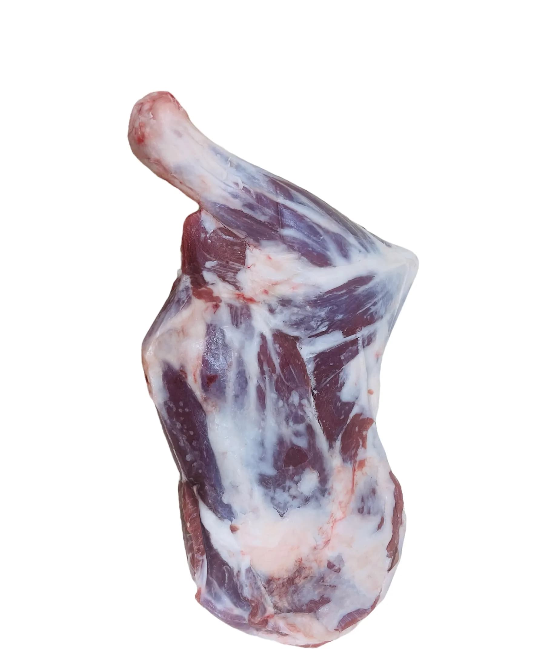 Zend Lamb 2500g