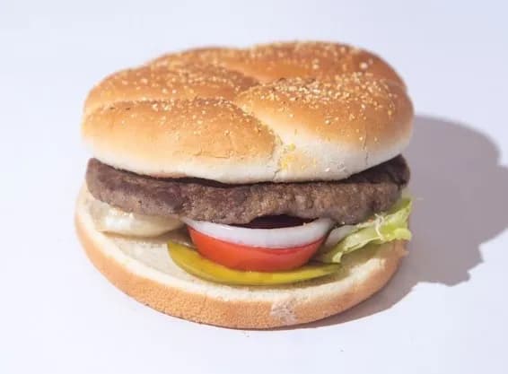 Plain Burger