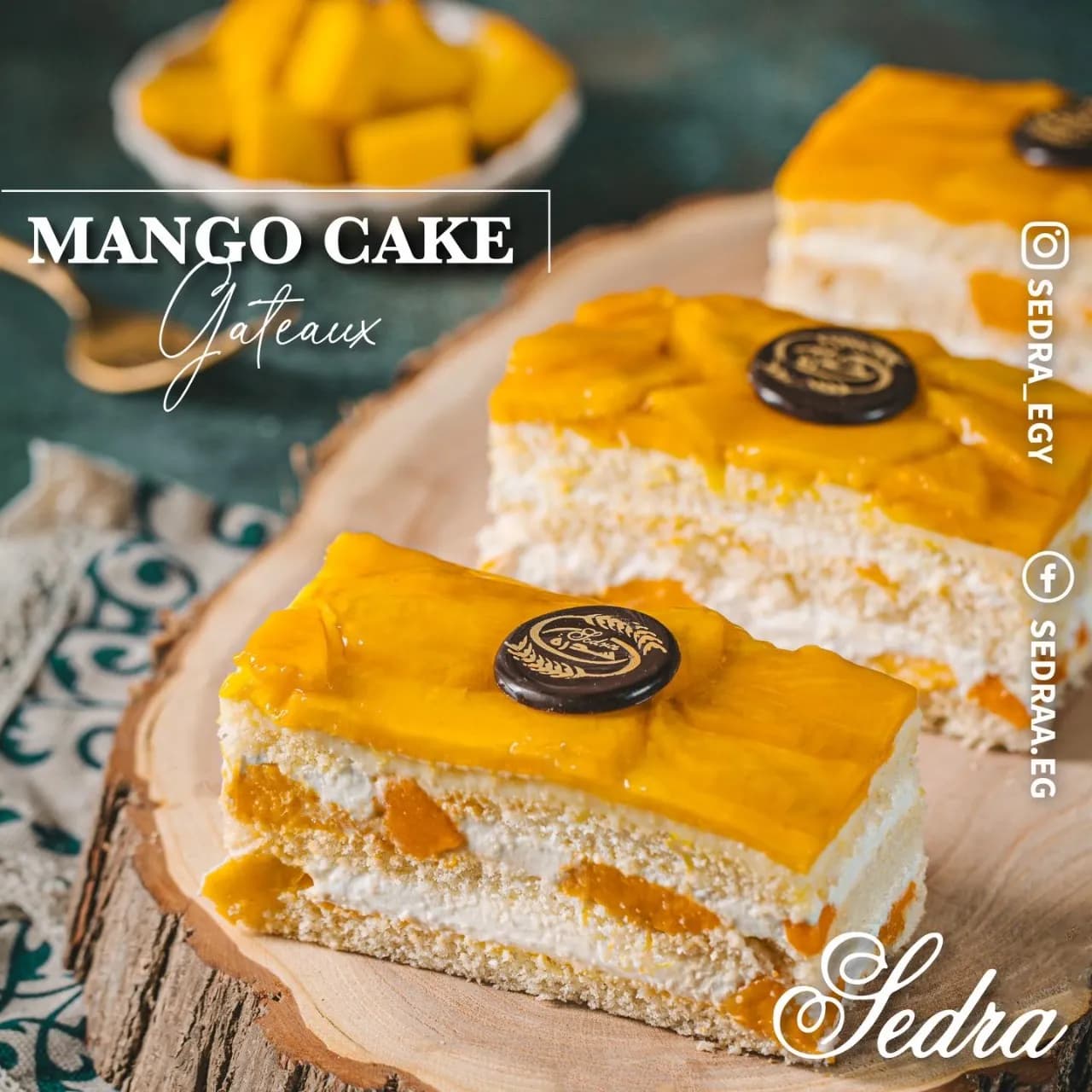 جاتوة مانجا