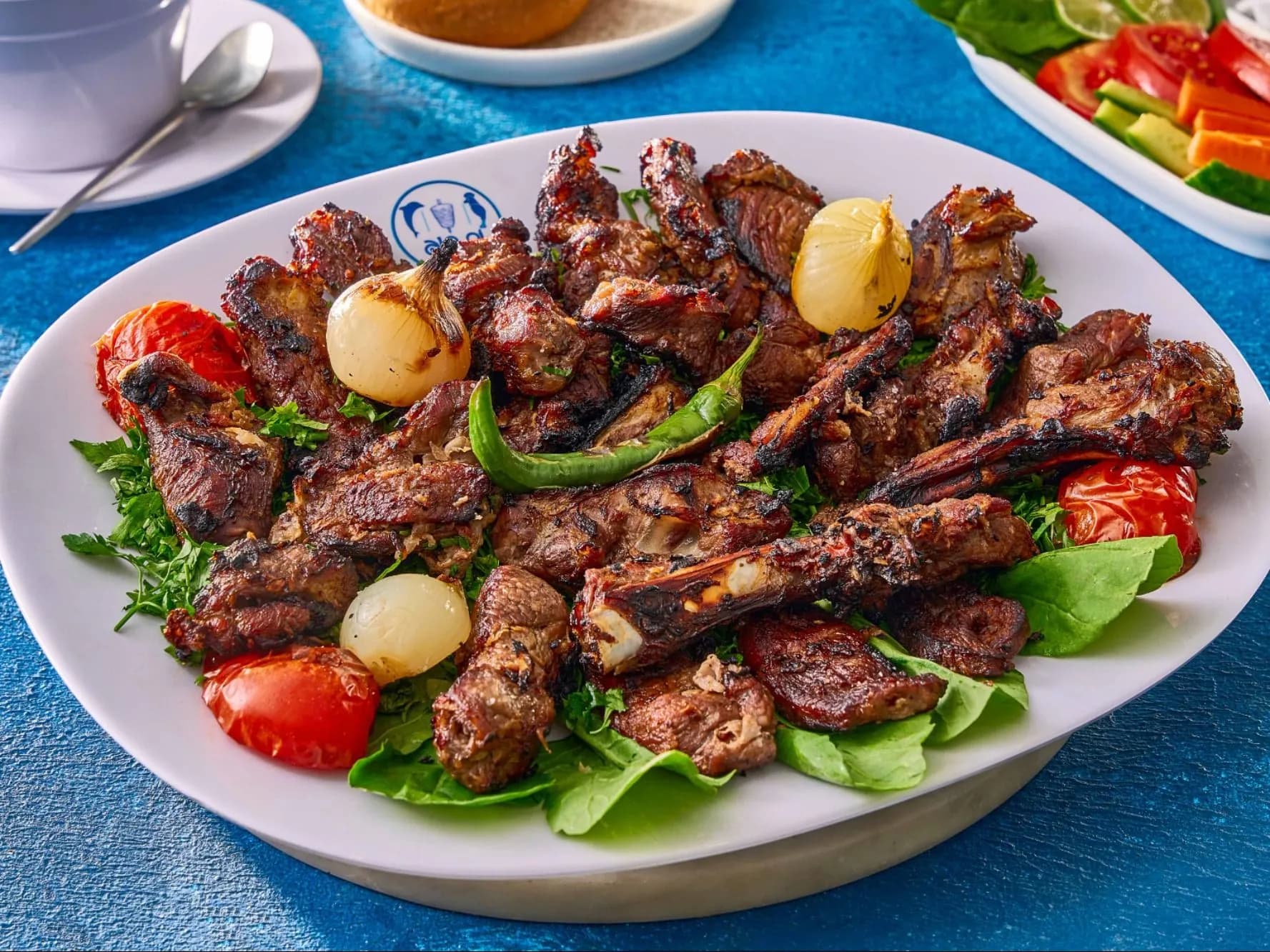 شيش كباب ضان