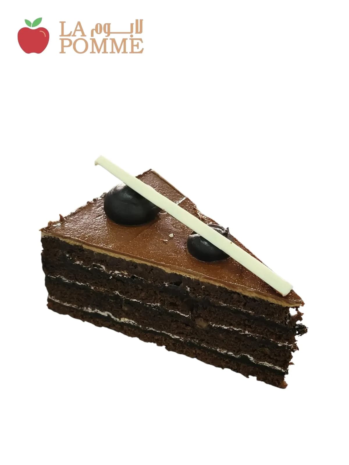 جاتوة سوبر صخر