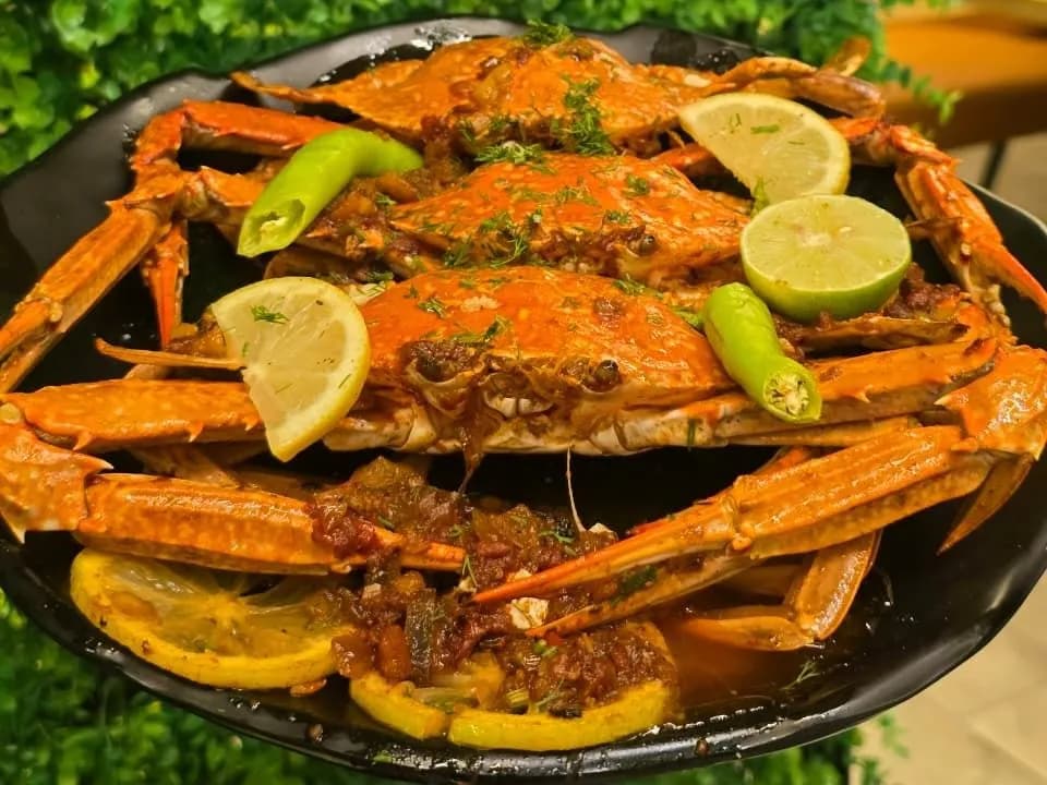كابوريا