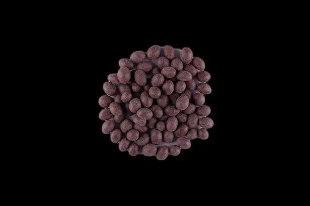Chocolate Peanuts