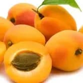 Apricot