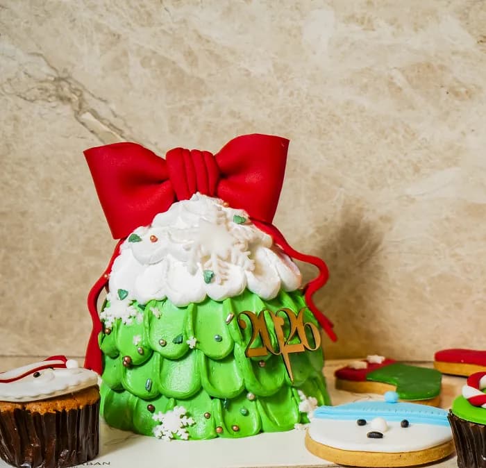 Chocolate Christmas Cake