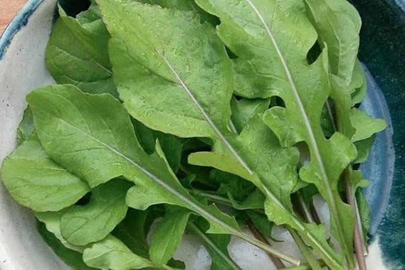 Arugula Salad
