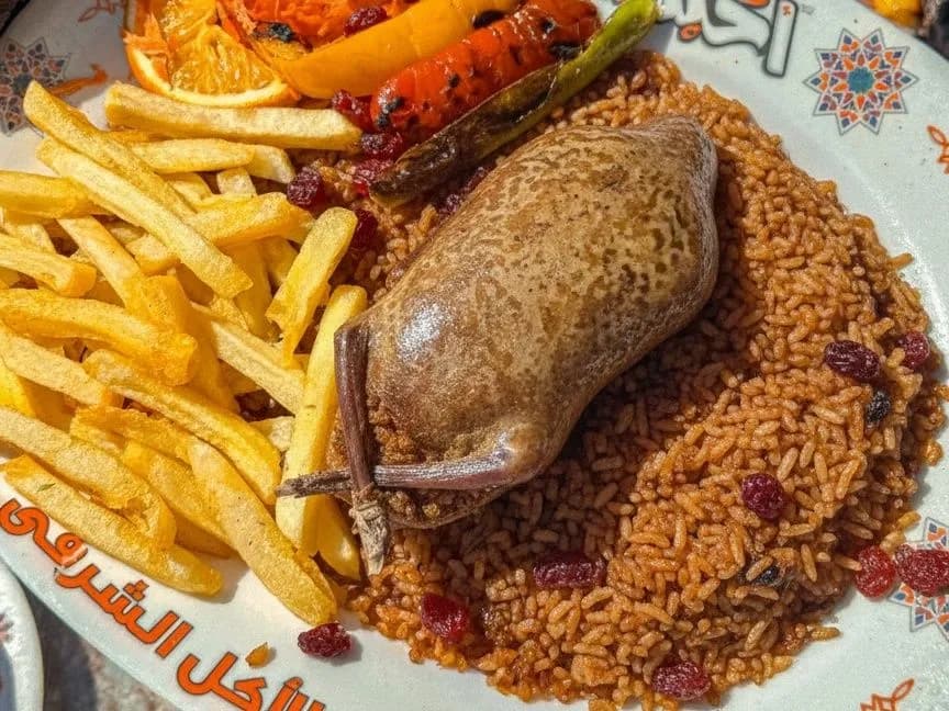 Individual Rice Pigeon