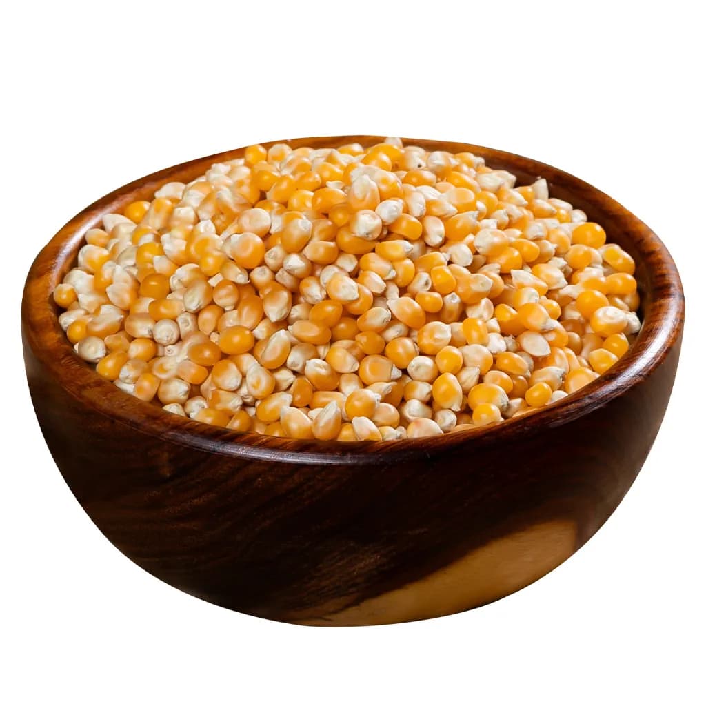 Popcorn Corn