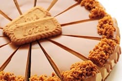 تشيز كيك لوتس